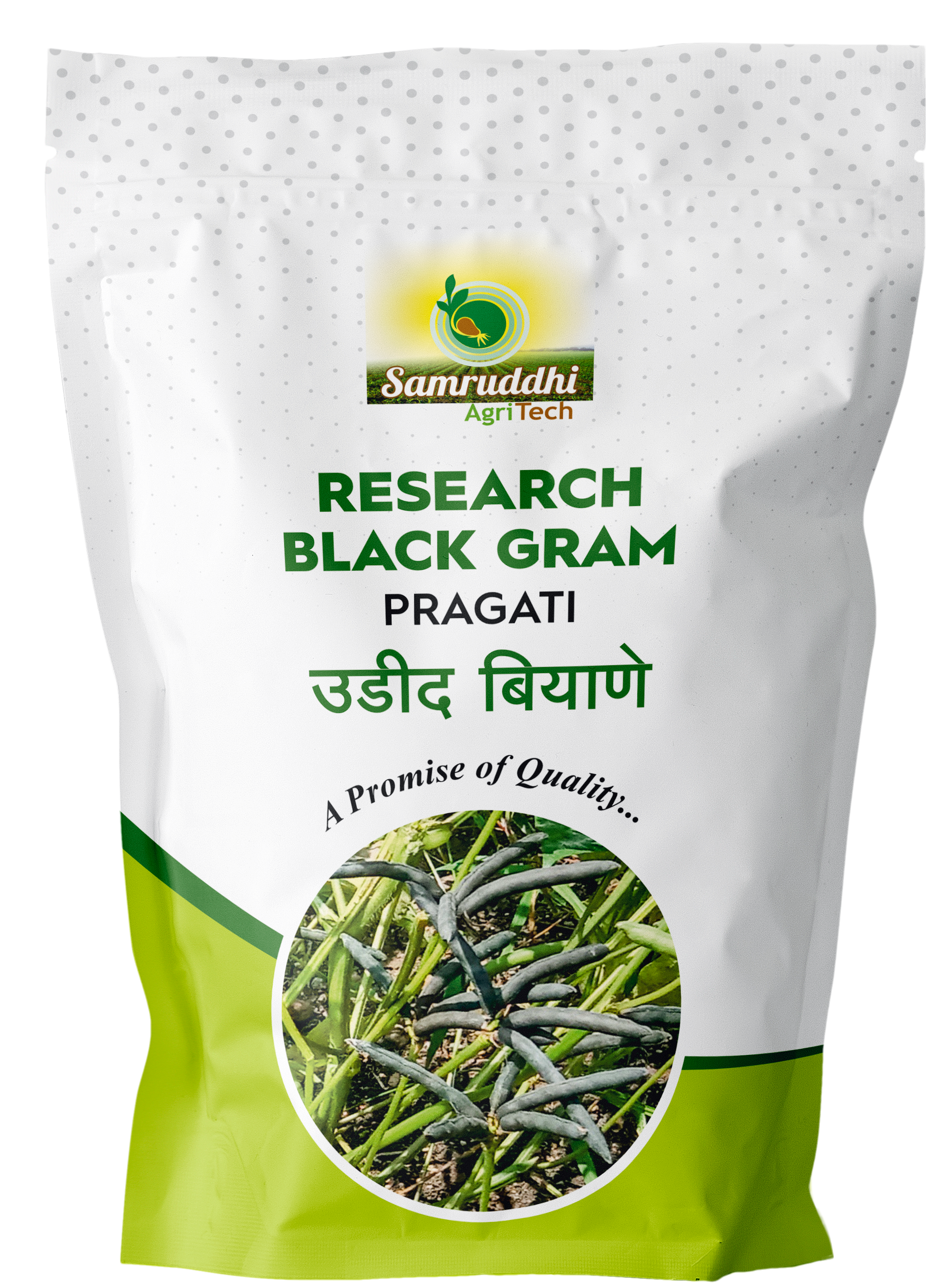 Research Black Gram Pragati Seeds